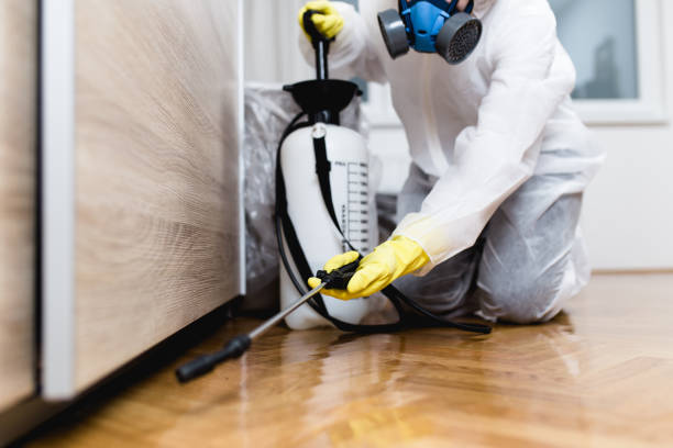Best Best Pest Control Companies  in Frisco, TX