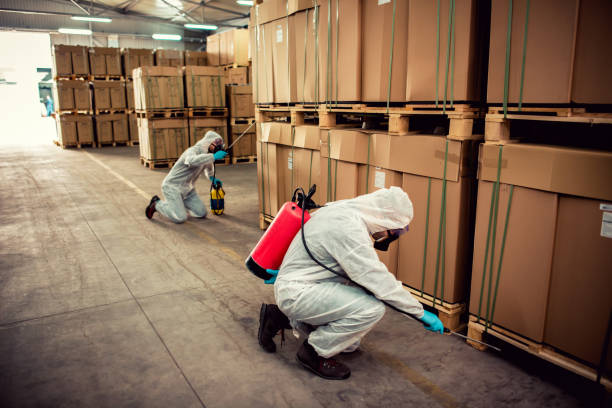 Best Best Pest Control Companies  in Frisco, TX