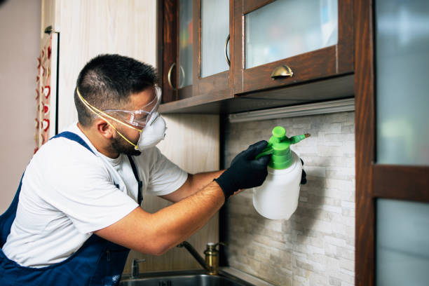 Best Pest Control Near Me  in Frisco, TX