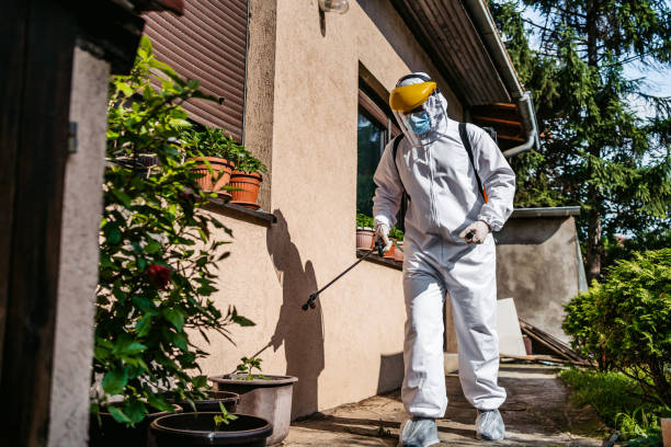 Best Residential Pest Control  in Frisco, TX