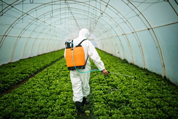 Best Best Pest Control Near Me  in Frisco, TX