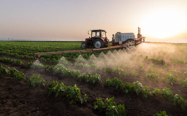 Best Commercial Pest Control Services  in Frisco, TX