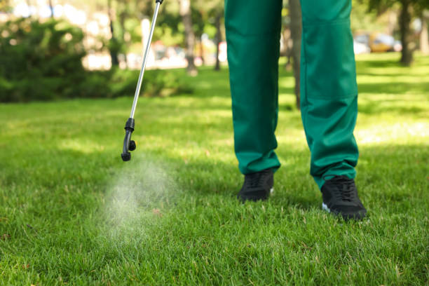 Best Pest Removal Services  in Frisco, TX