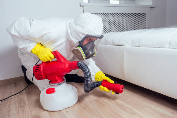 Best Best Pest Control Companies  in Frisco, TX