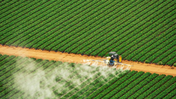 Best Mosquito Control Services  in Frisco, TX