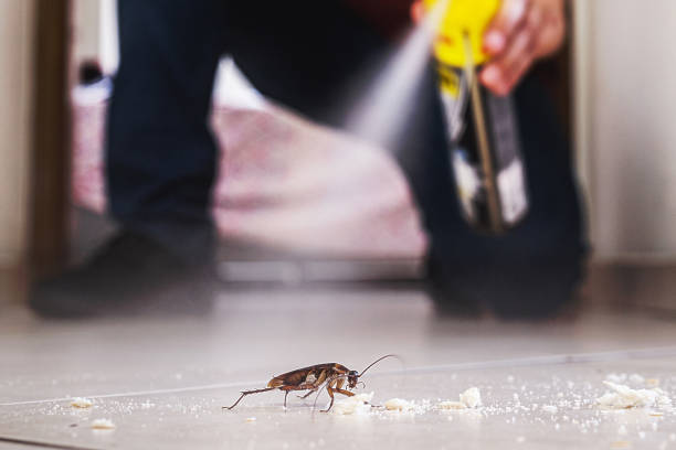 Best Commercial Pest Control Services  in Frisco, TX