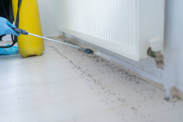 Best Wildlife Control Services  in Frisco, TX